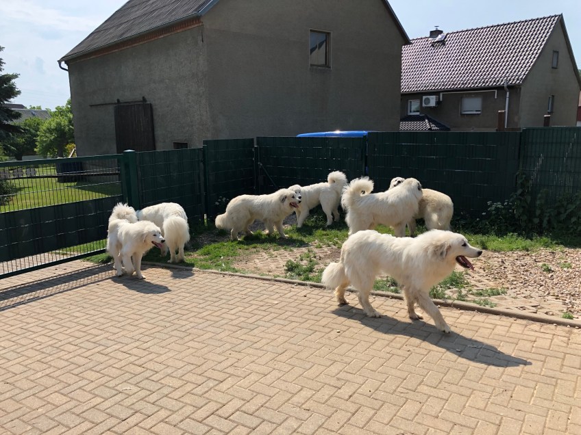 Wir sind die Pyris vom Ehrenberger Hof!