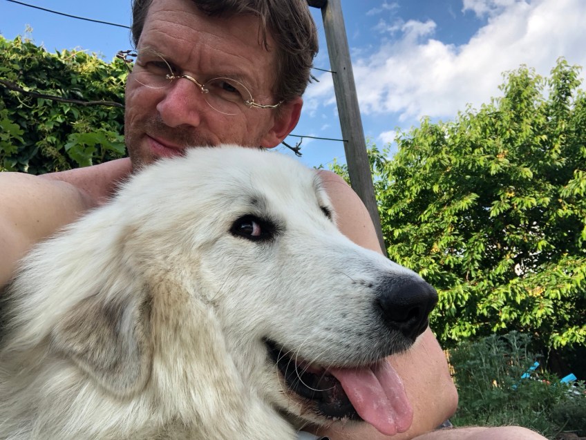 Mein großer mensch hat mich geselfiet …