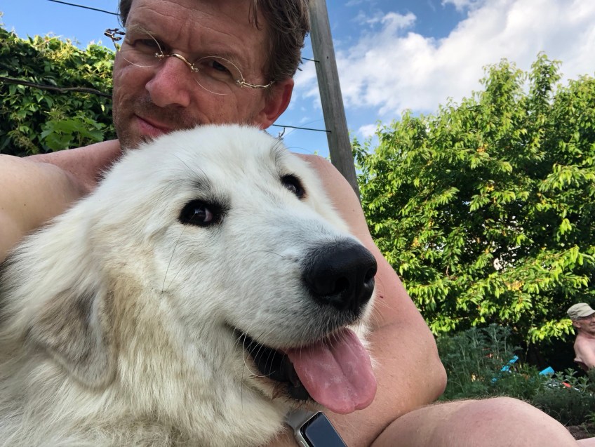 … habe ich aber gemerkt …