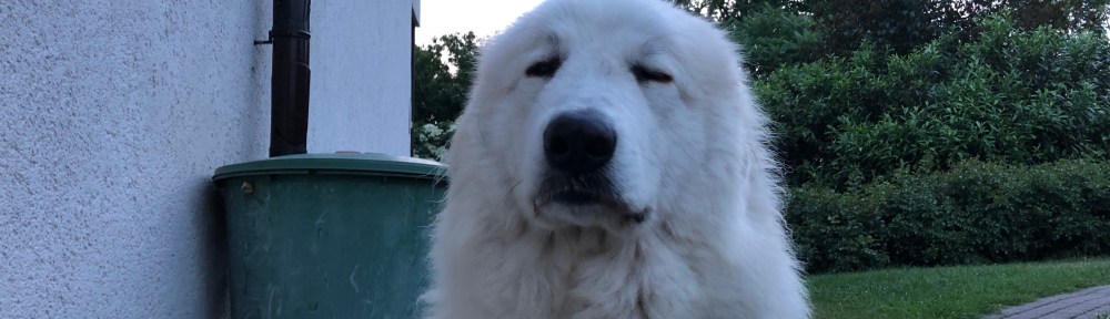 Ich bin hier die Chefin! Und müde.