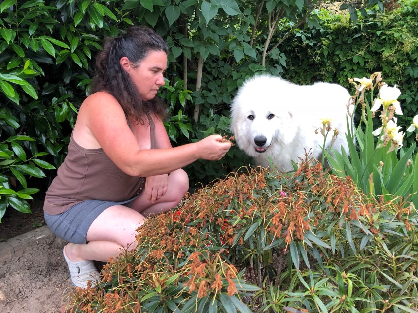 Gartenarbeit mit meiner großen Menschin
