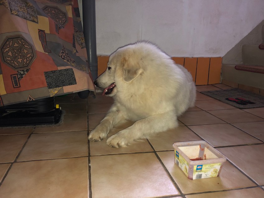 Im Keller auf dem kühlen Boden