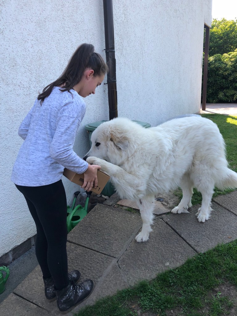 Die Bella bekommt ein Geschenk