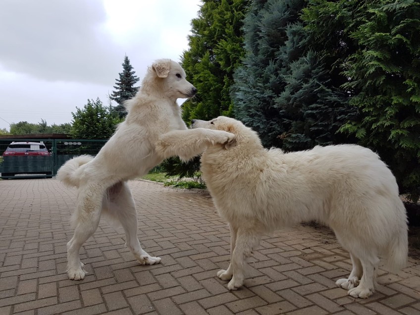 So groß ist meine Schwester