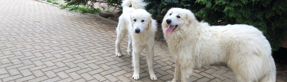 Die Bella und ihre kleine Sissi-Schwester
