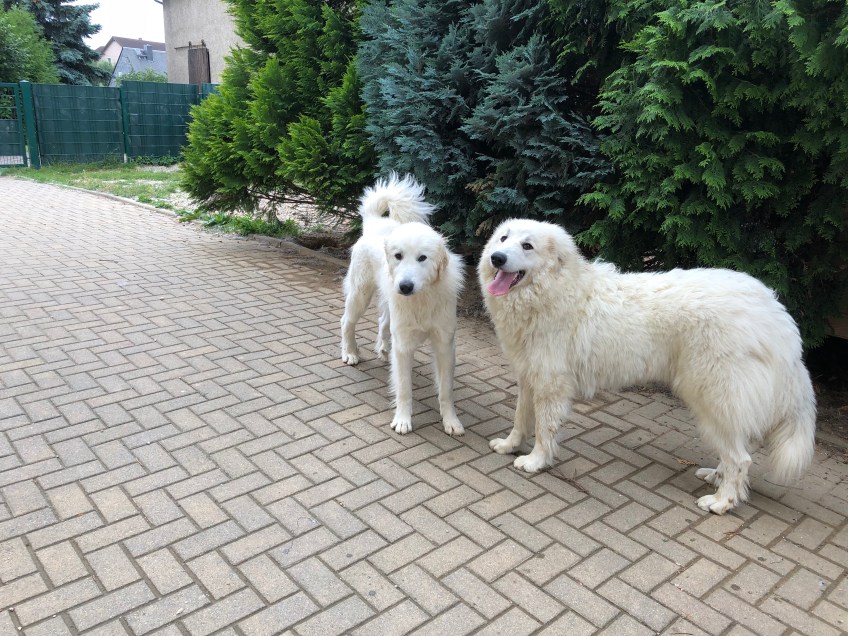 Die Bella und ihre kleine Sissi-Schwester