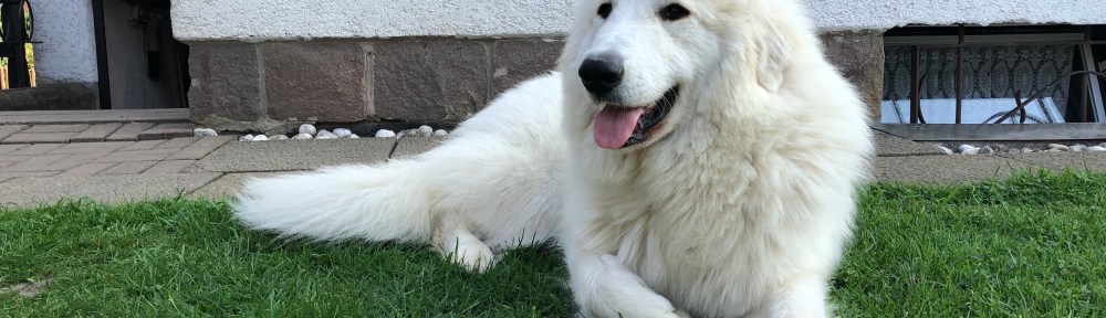 … auf ihrer Wiese …