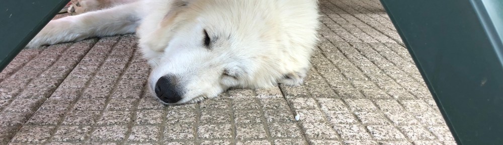 Ausruhen auf meiner Terrasse