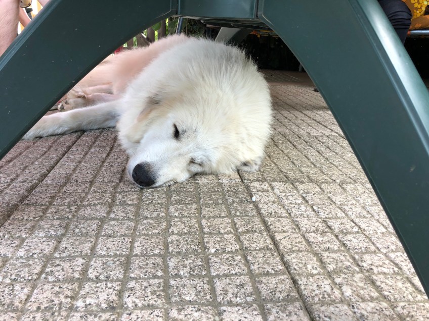 Ausruhen auf meiner Terrasse