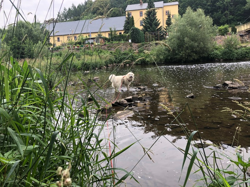 Erste Badestation an der Wackelbrücke
