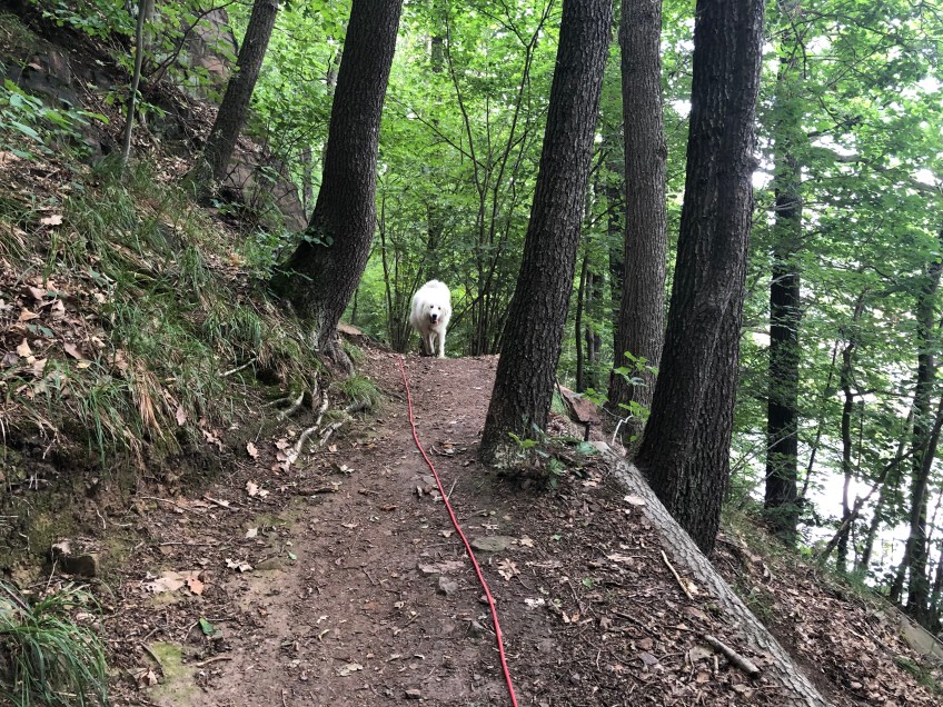 … Achtung! Ich komme! …