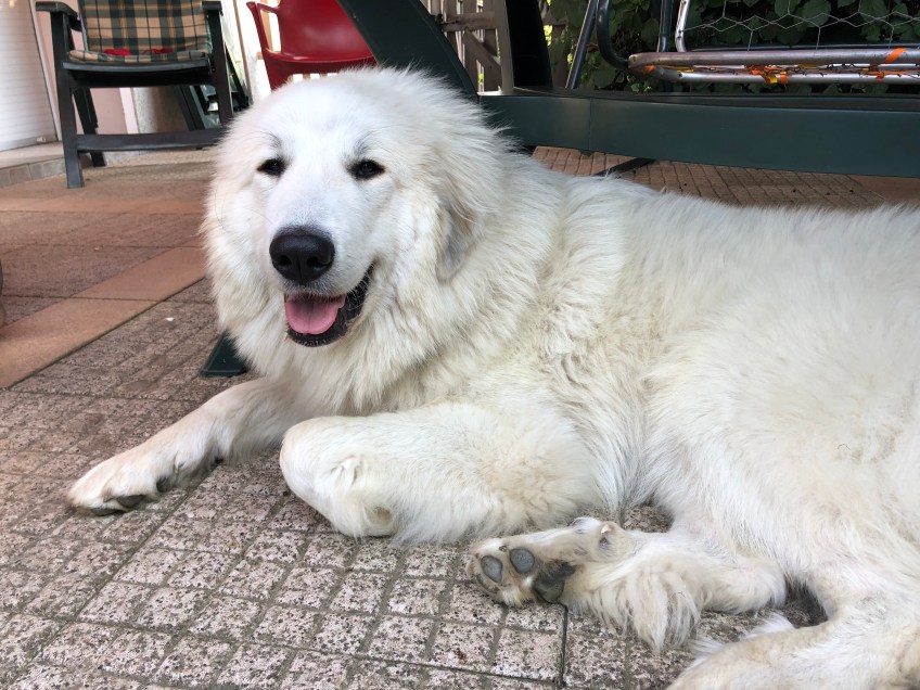 Juhu, wir Grillieren mal wieder!