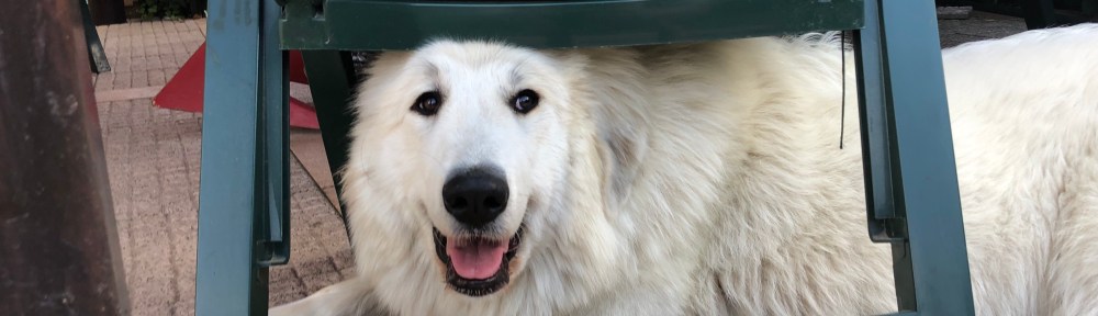 Da bin ich ganz brav!