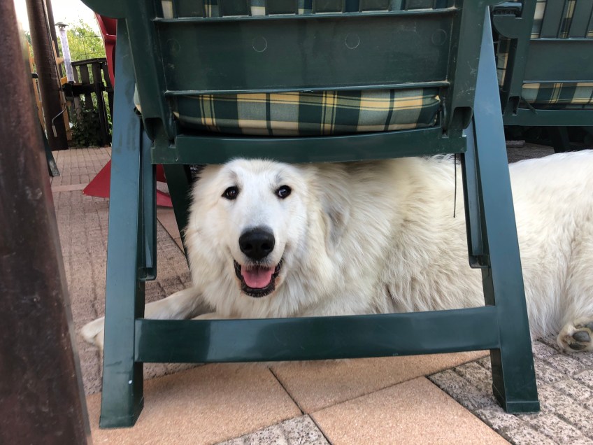 Da bin ich ganz brav!