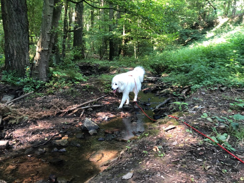 … immer näher …