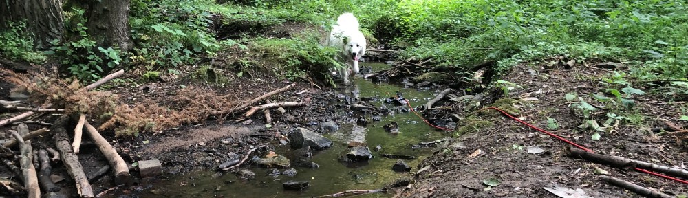 Beim Abendspaziergang