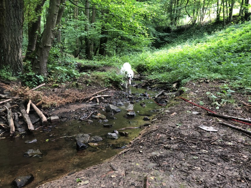 Beim Abendspaziergang