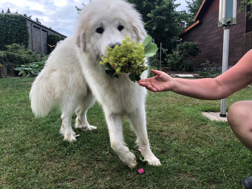Alles Gute zum Feierabend!