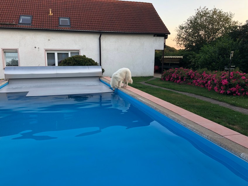 Pool-Deckel geht zu