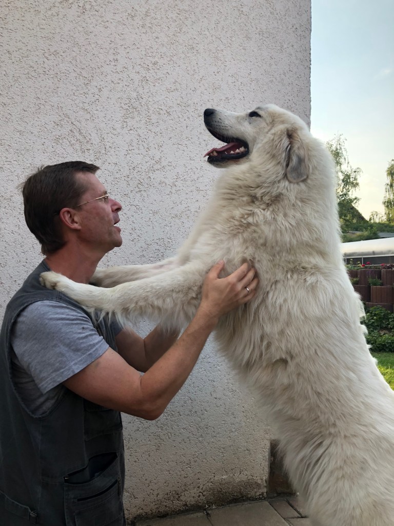 Ich bin riesengroß …