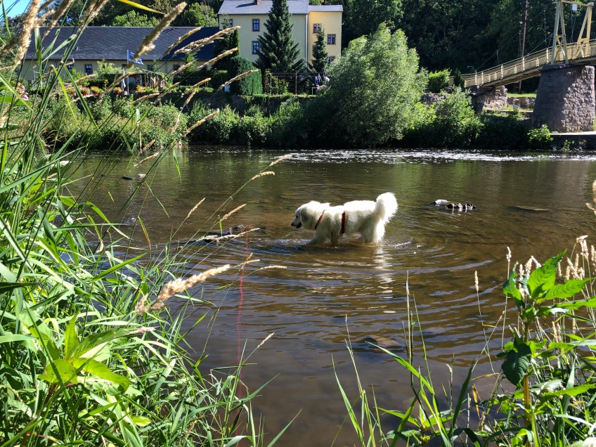 Die Bella im großen Fluß mit komischem Name