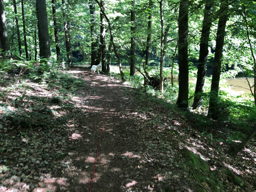 An der Tschooo-Pauuu (Zschopau)