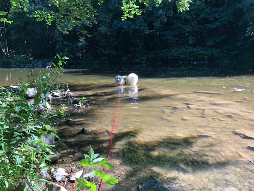 Meine neue Badestelle