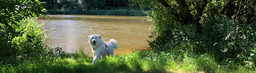 Auf der anderen Seite vom großen Fluß