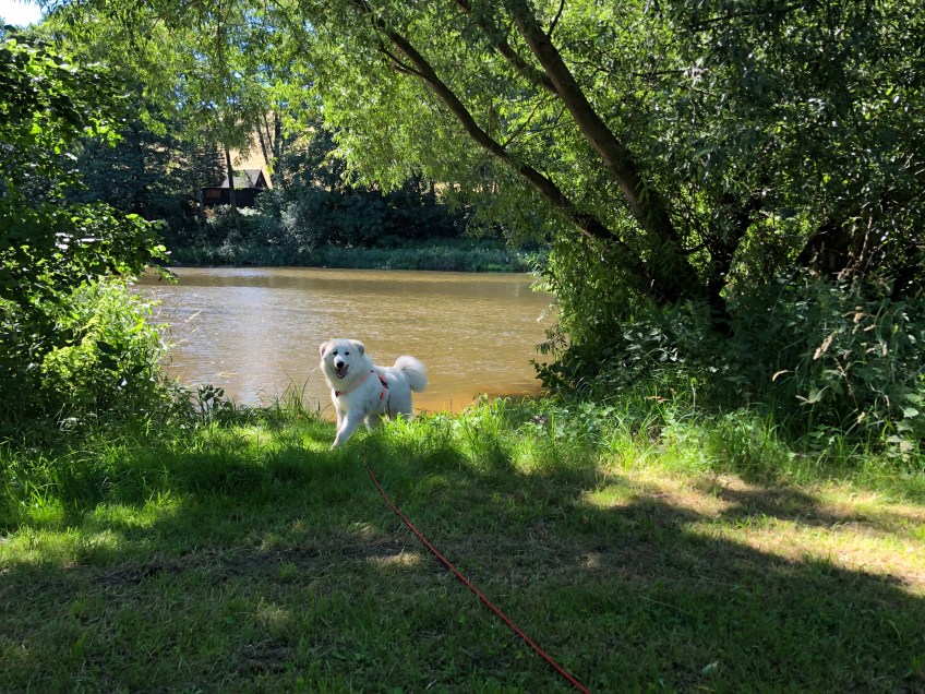 Auf der anderen Seite vom großen Fluß