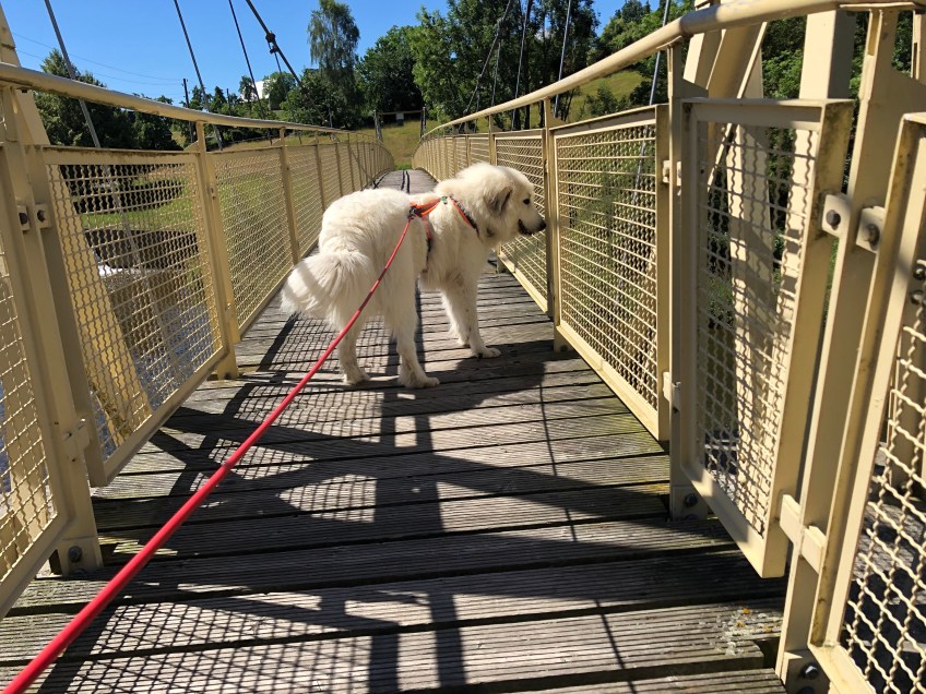 Die Bella auf der Tschooo-Pauuu-Wackelbrücke
