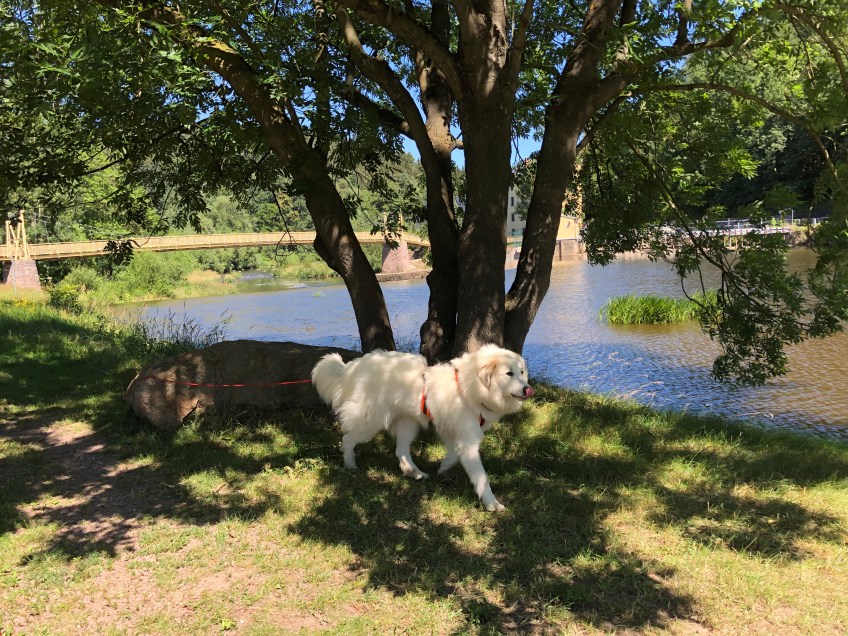 Wir sind wieder auf der anderen Seite vom großen Fluß