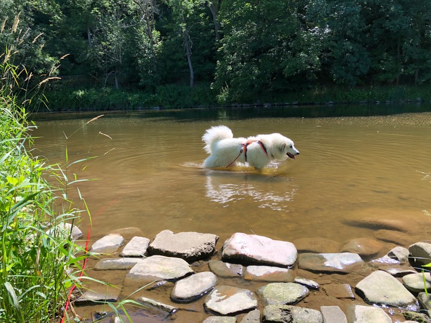 Bellas nächste neue Badestelle