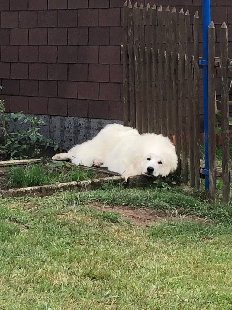 Ich bin die Bella …