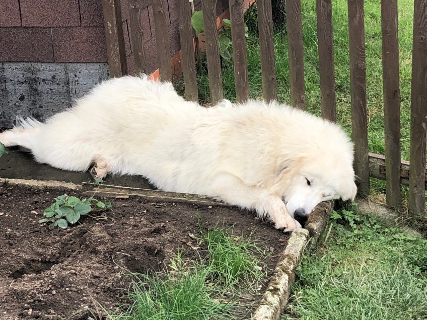 … und müde. Jawoll!