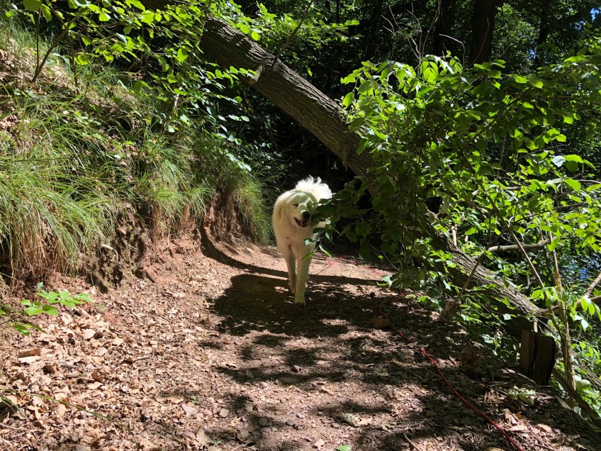 Wir gehen zum Zschopautal-Rad-Wander-Weg