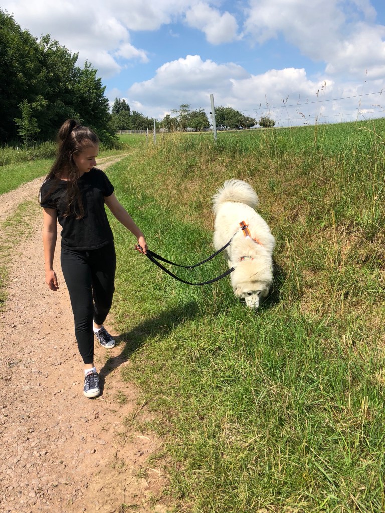 Meine kleine Menschenschwester und meine schwarze Leine