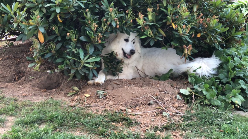 In meiner "Kühlgrube" unter dem "roten Dentron"