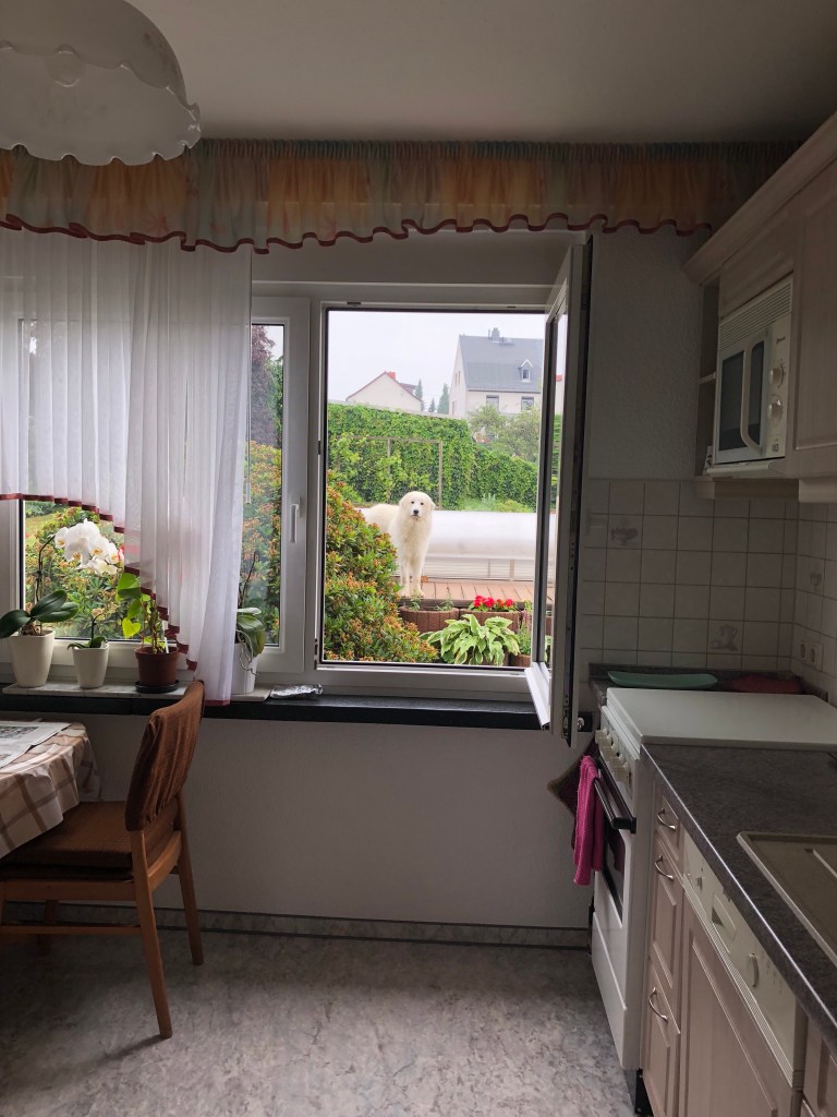 Hallo! Ist da jemand?