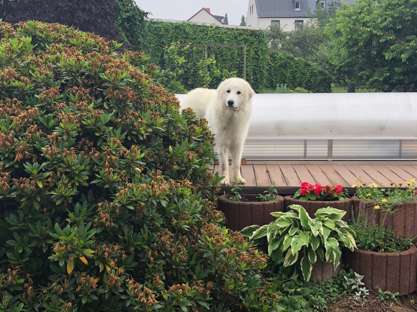 Ich bin's, die Bella!