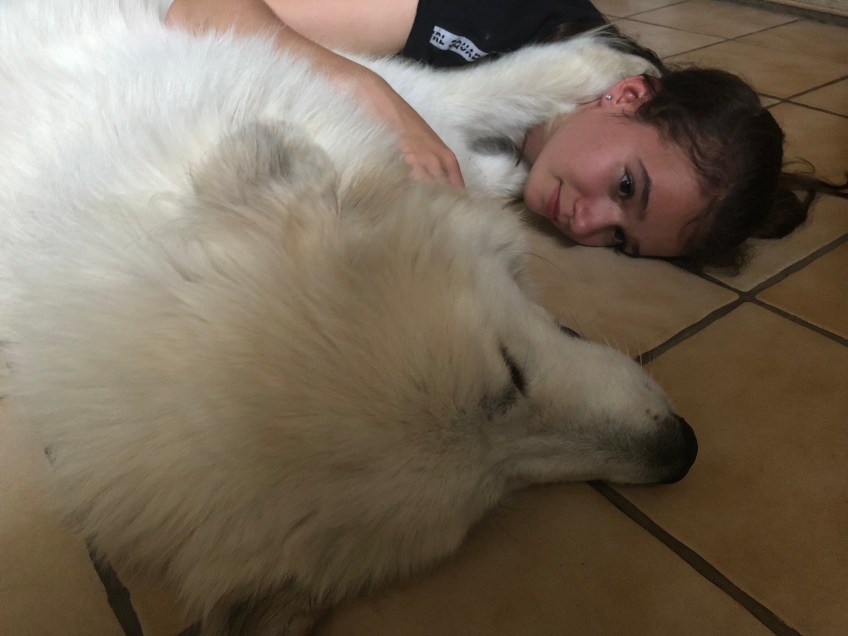 Meine! Laß Dich nicht weg!