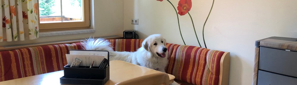 Da darf ich nicht drauf