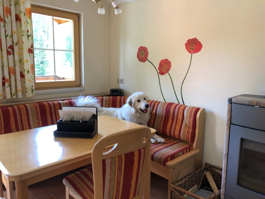 Da darf ich nicht drauf