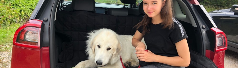 Neuer Reise-Platz für die Pyri