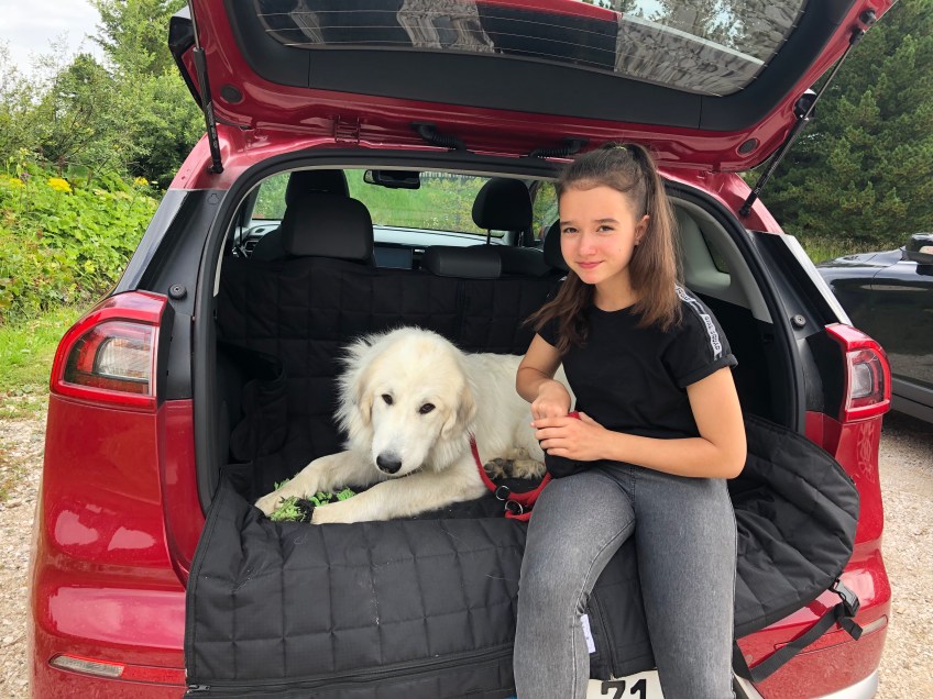 Neuer Reise-Platz für die Pyri