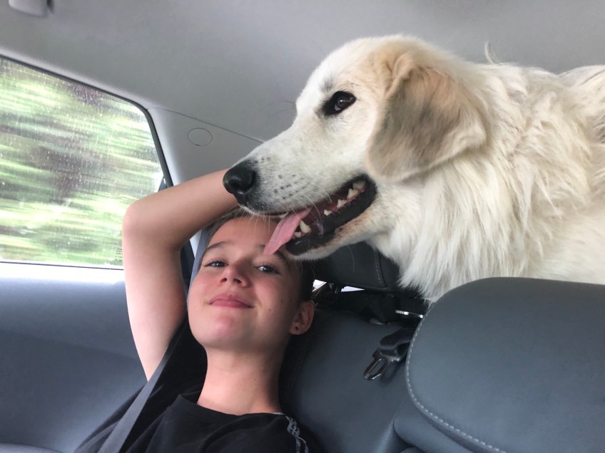 So reist es sich gut!