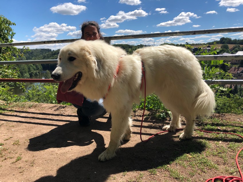 Die Bella und ihre große Menschin