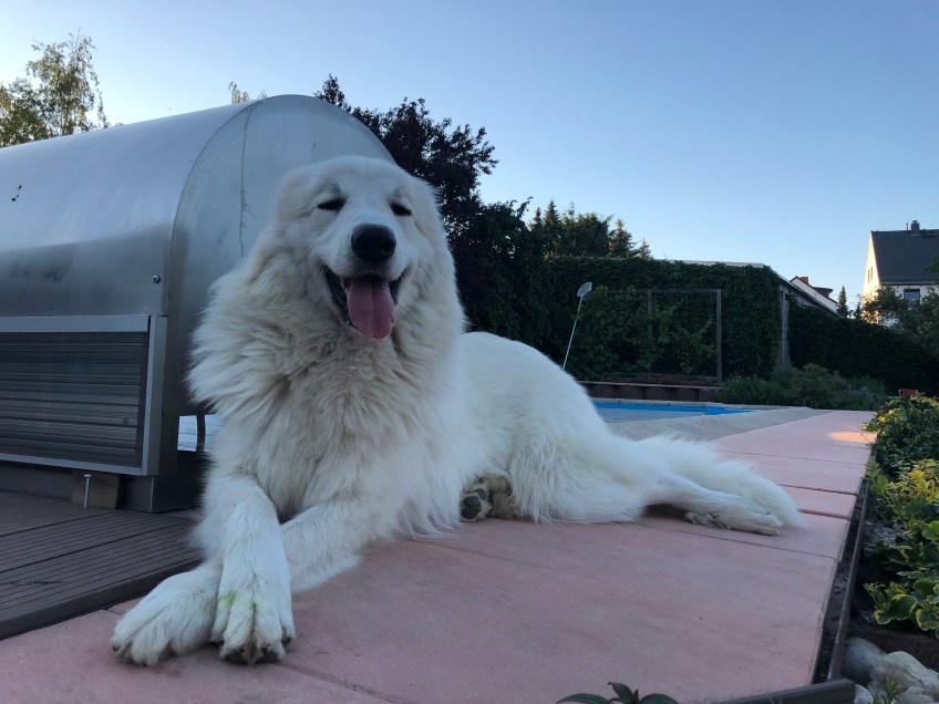 Ich bin eine Prinzessin …