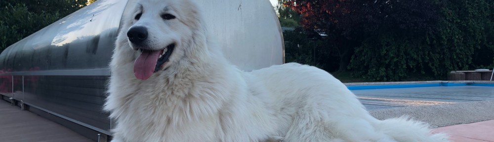 … eine Pyriprinzessin!