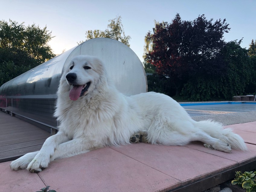 … eine Pyriprinzessin!