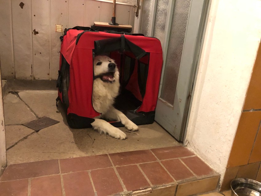 Bella in ihrem roten Ferienhaus